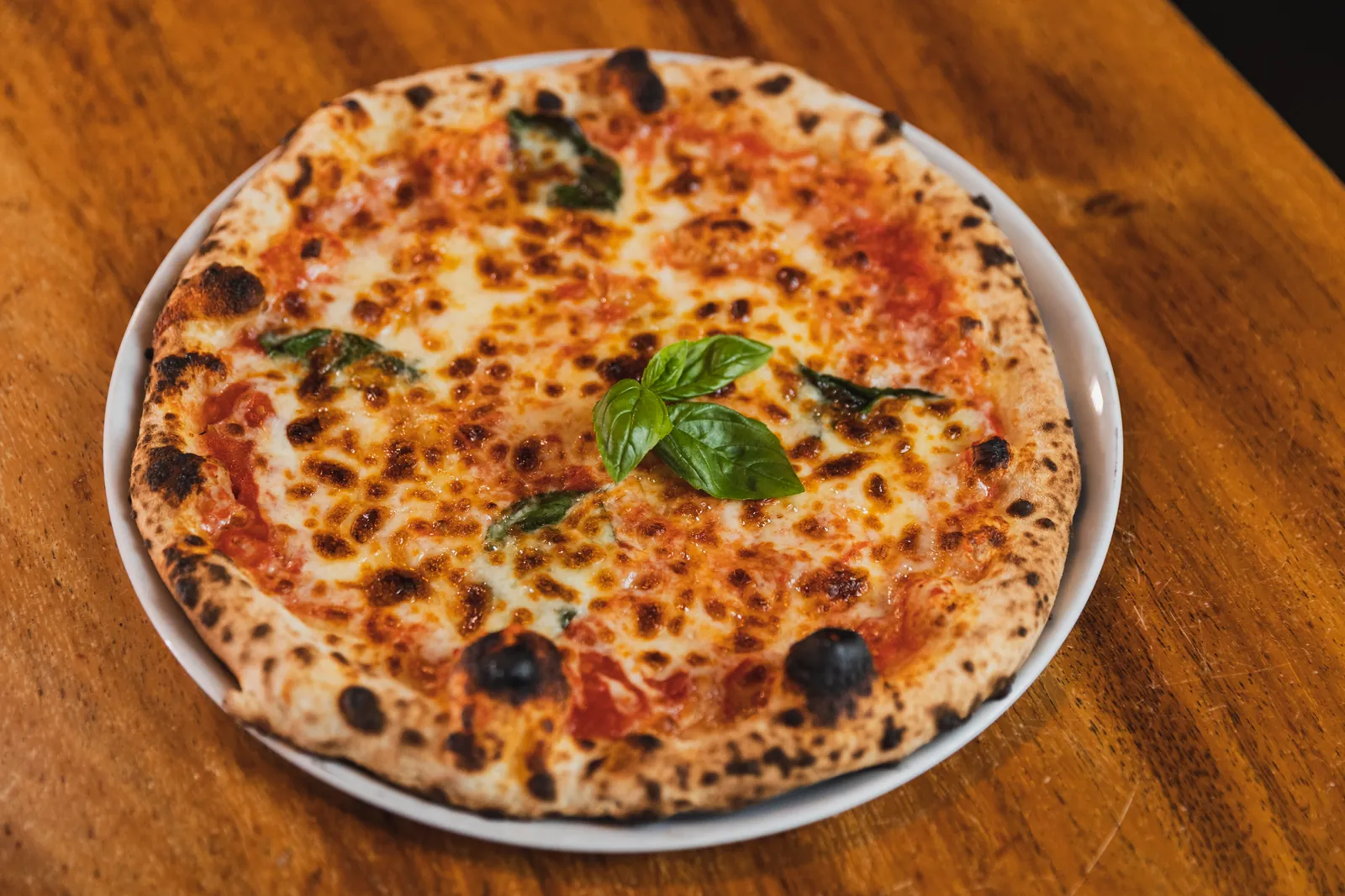 Pizza Margarita